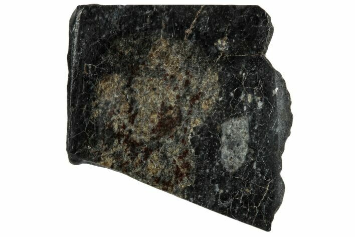 Polished, Starry Night Lunar Meteorite Slice ( g) - NWA #291429